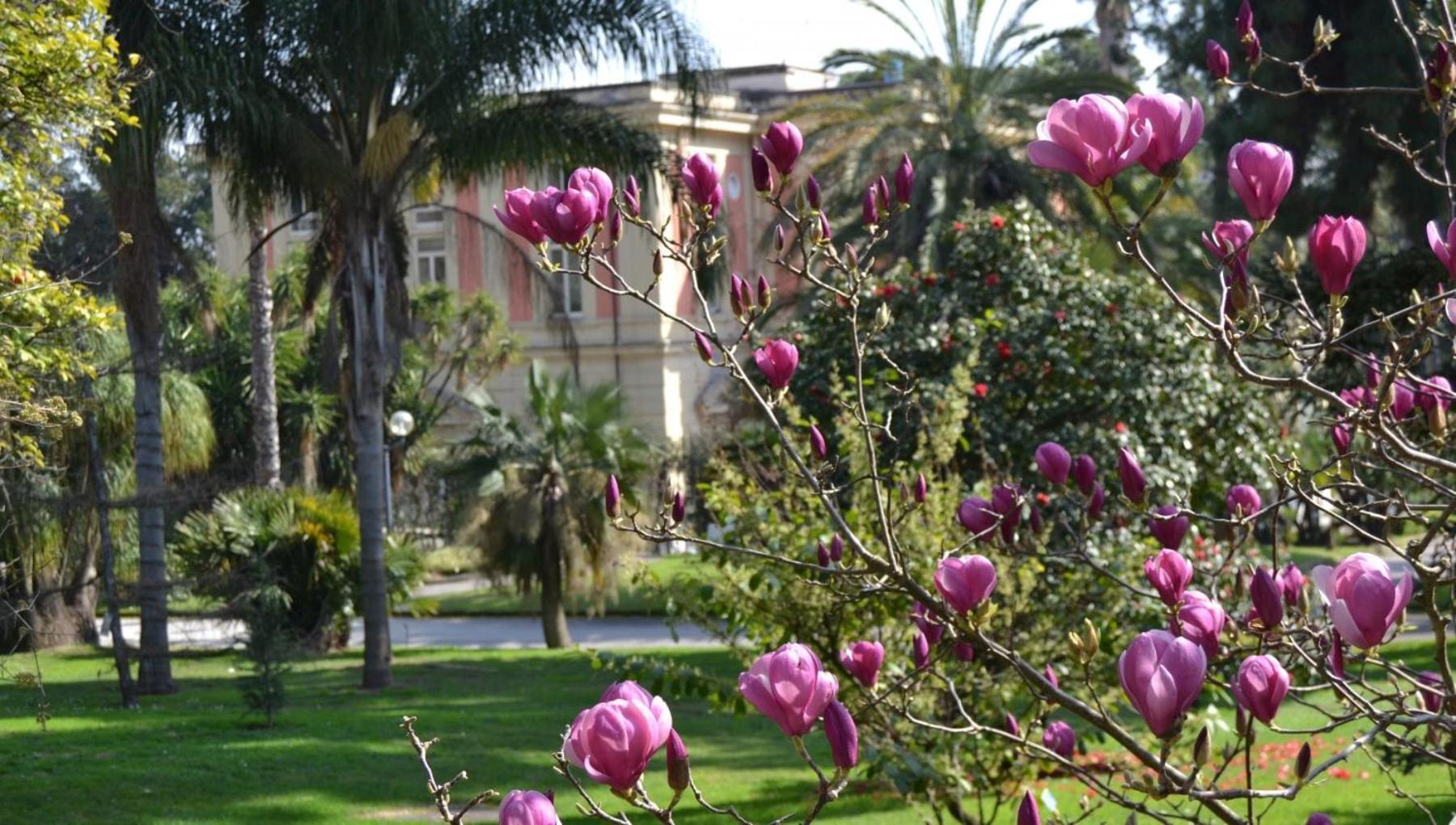 나폴리 Casina Via Foria B&B 외부 사진